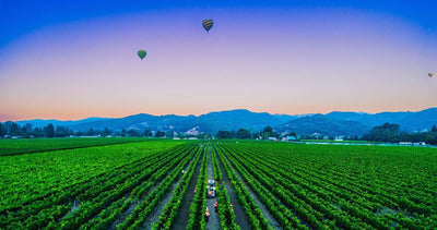 5 Domestic & Not-So-Distant Honeymoon & Mini-Moon Destinations