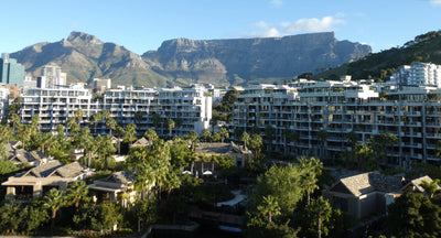 Destination Feature: South Africa